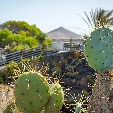 Séjour à la campagne Isabel Mozaga