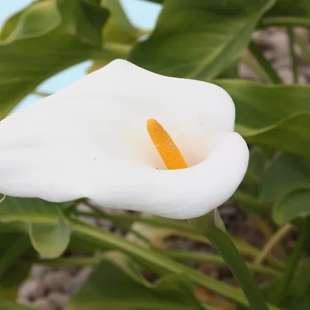 Séjour à la campagne Isabel *