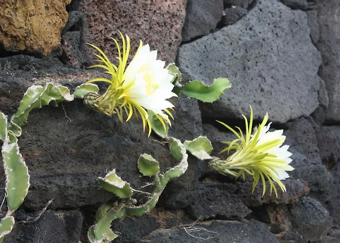 Gospodarstwo wiejskie Isabel