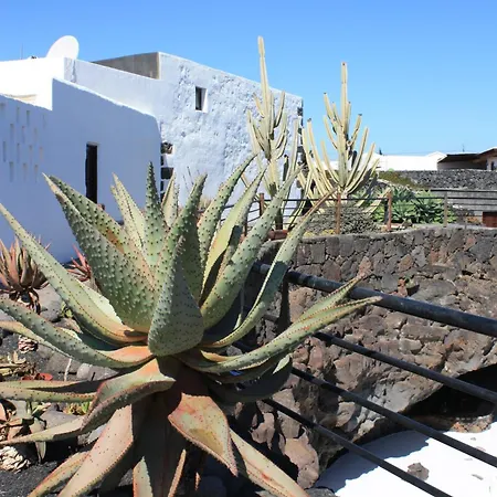 Casa Rural Finca Isabel Kır Evi