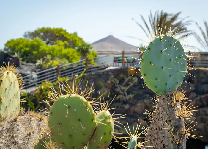 乡村民宿 芬卡伊莎贝尔乡村民宿 Mozaga