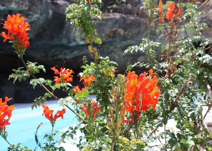 乡村民宿 芬卡伊莎贝尔乡村民宿